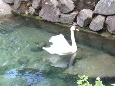 Прикрепленное изображение: IMG_20220507_144057.jpg